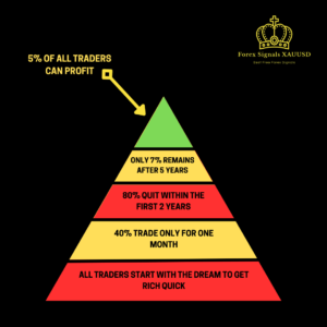 Why Forex Traders lose